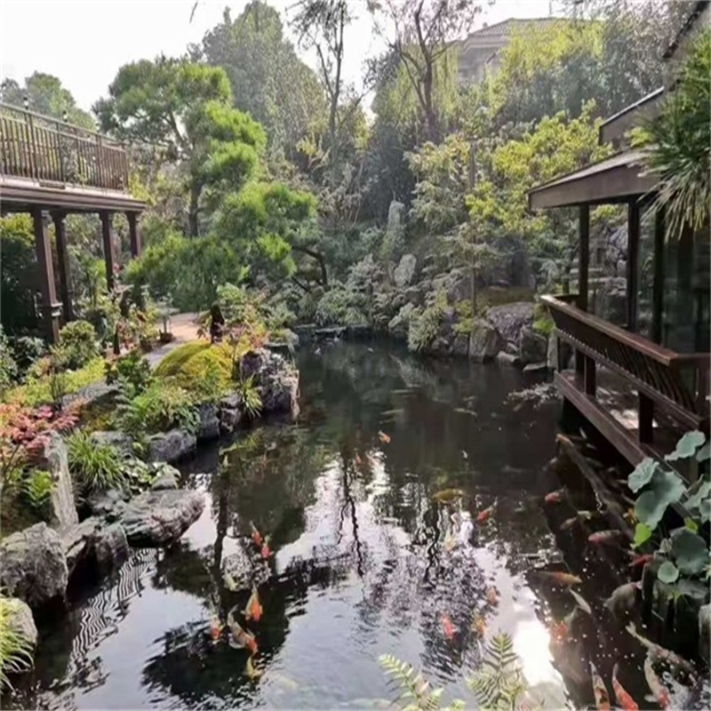 广河假山植物小鱼池